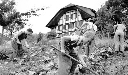 ��������: ����� �������� �����������